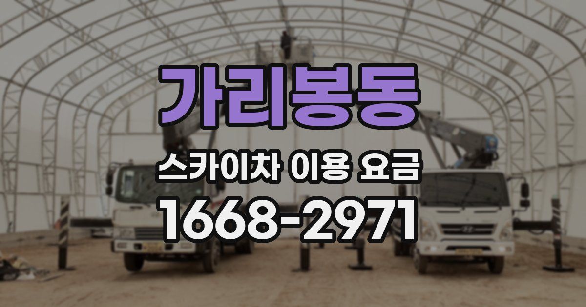 가리봉동 스카이차 이용 요금