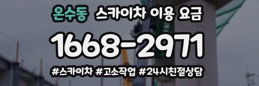 온수동 스카이차 이용 요금