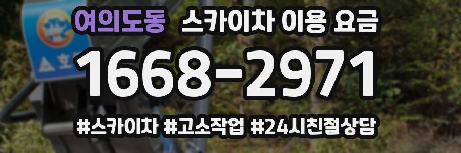 여의도동 스카이차 이용 요금