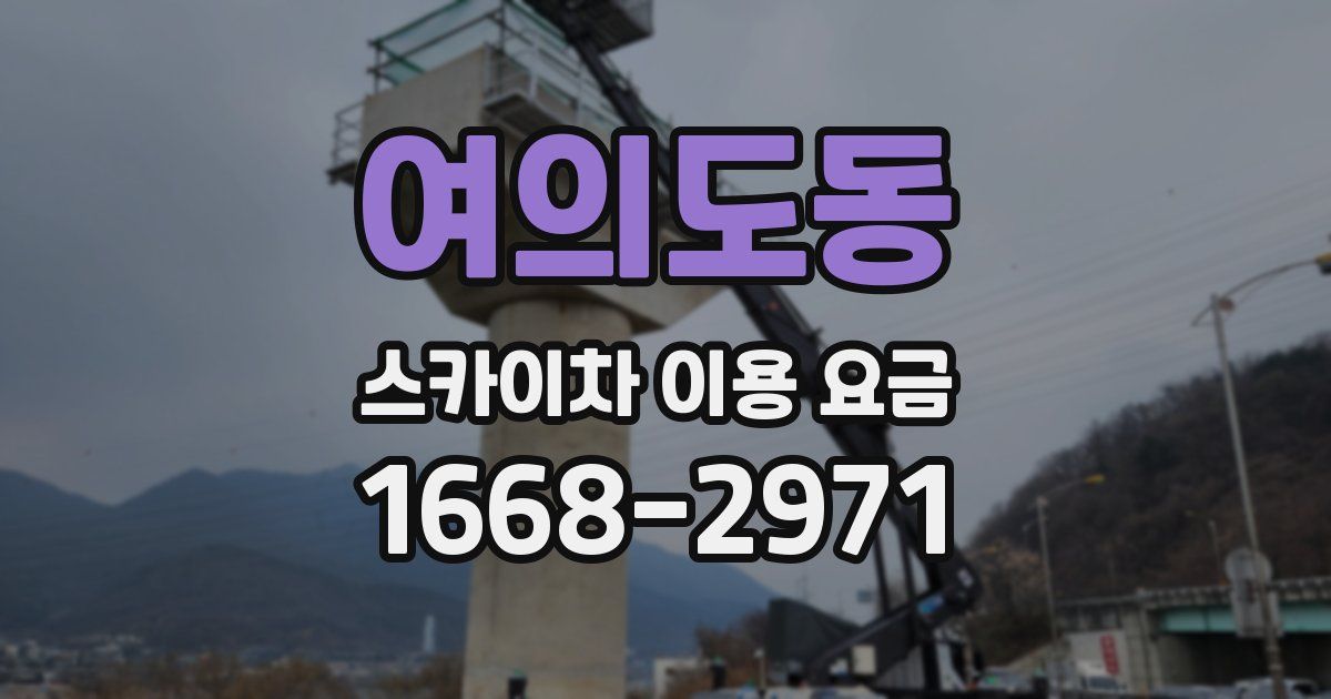 여의도동 스카이차 이용 요금