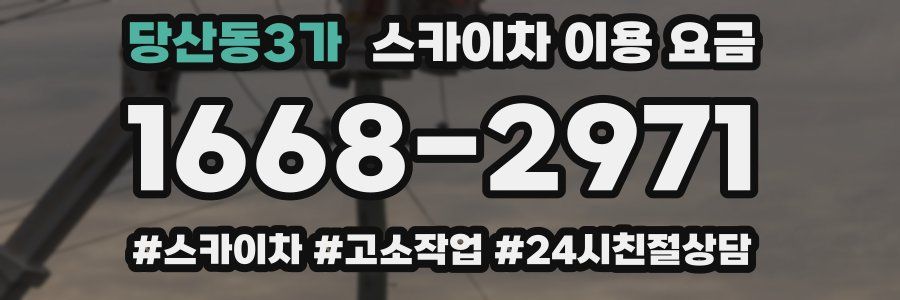 당산동3가 스카이차 이용 요금