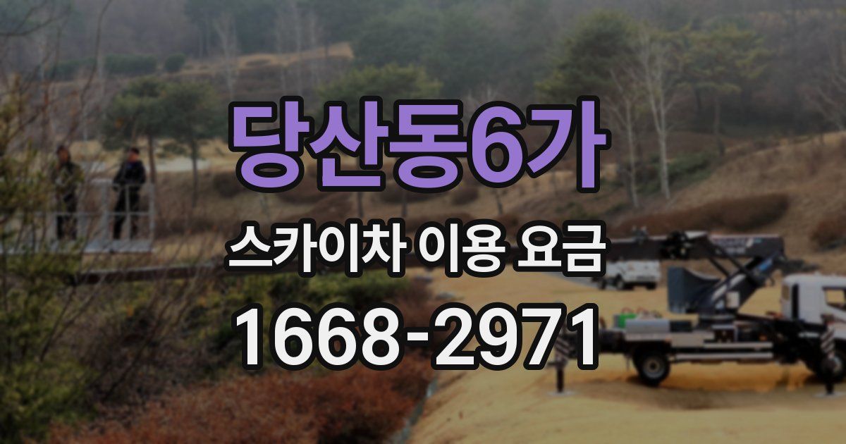 당산동6가 스카이차 이용 요금