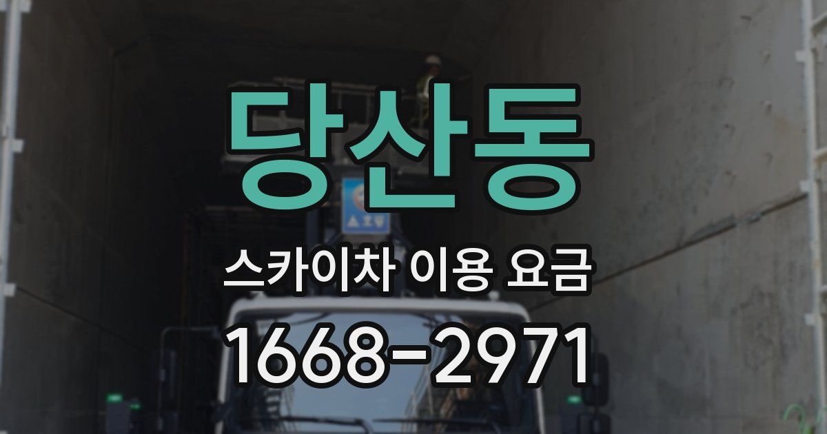 당산동 스카이차 이용 요금