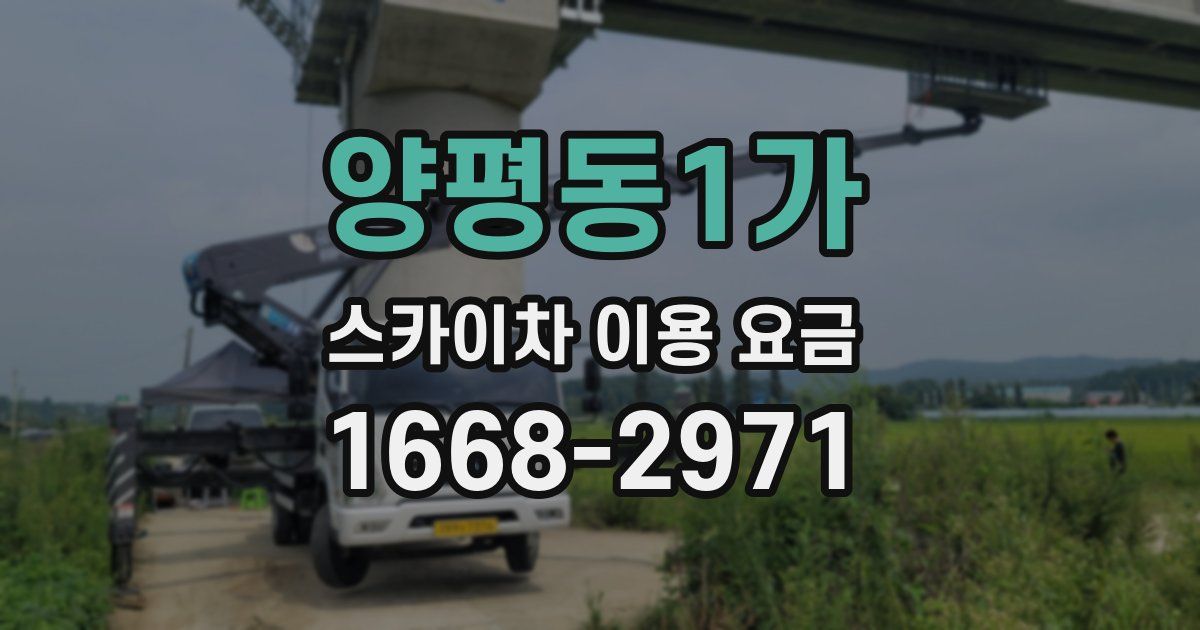 양평동1가 스카이차 이용 요금