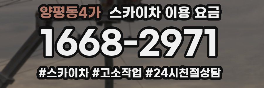 양평동4가 스카이차 이용 요금