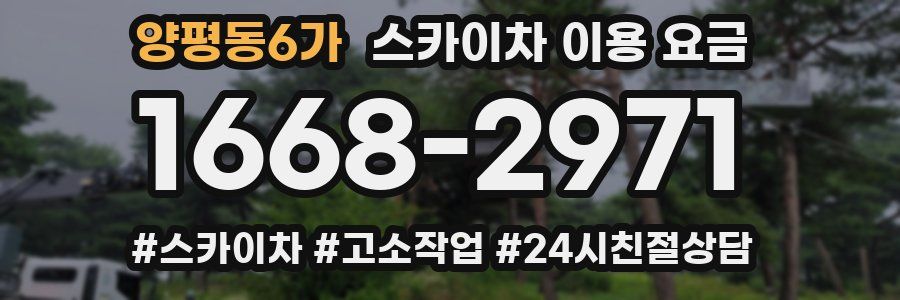 양평동6가 스카이차 이용 요금
