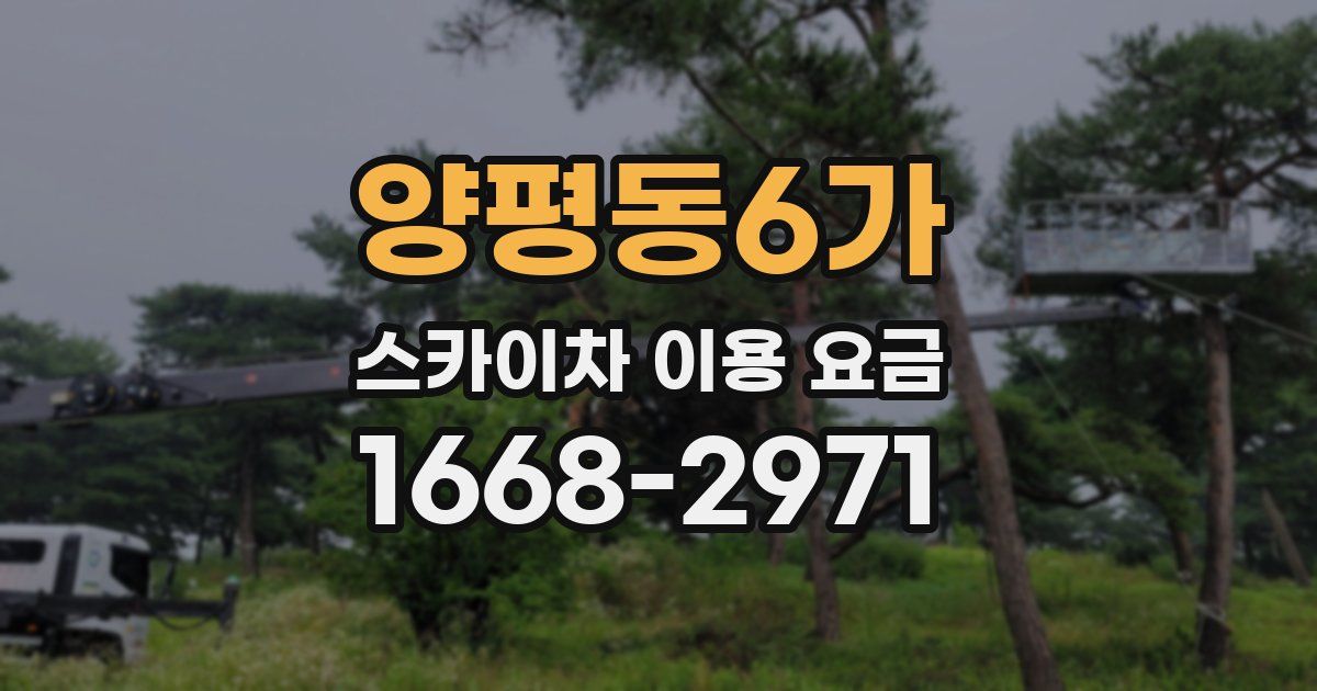 양평동6가 스카이차 이용 요금