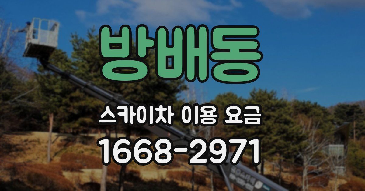 방배동 스카이차 이용 요금