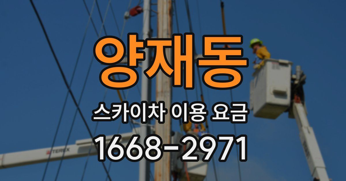 양재동 스카이차 이용 요금