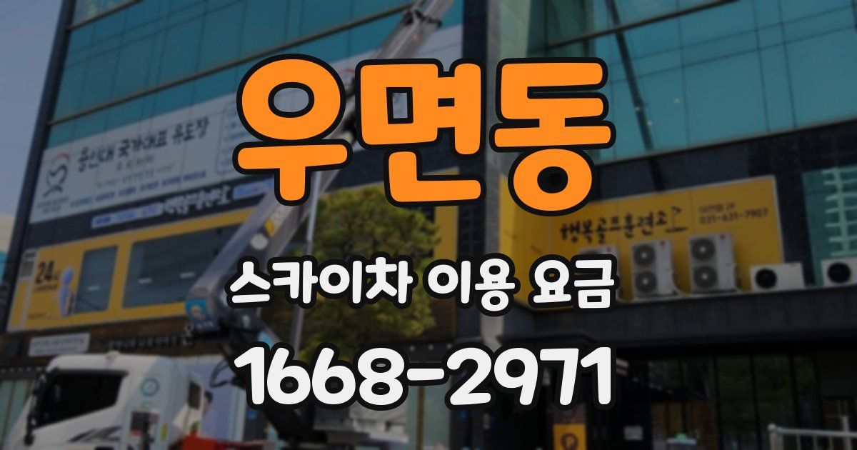 우면동 스카이차 이용 요금