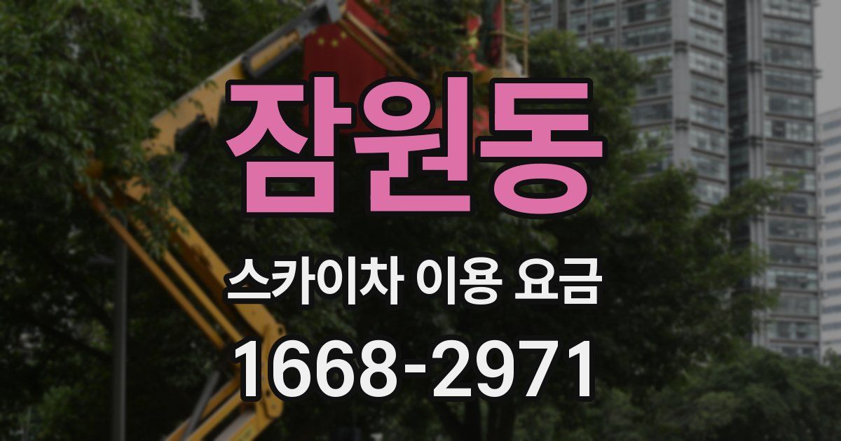 잠원동 스카이차 이용 요금