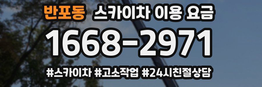 반포동 스카이차 이용 요금