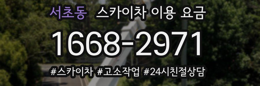 서초동 스카이차 이용 요금