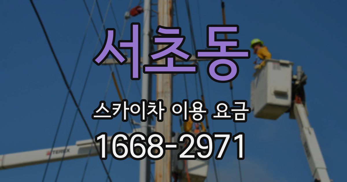 서초동 스카이차 이용 요금