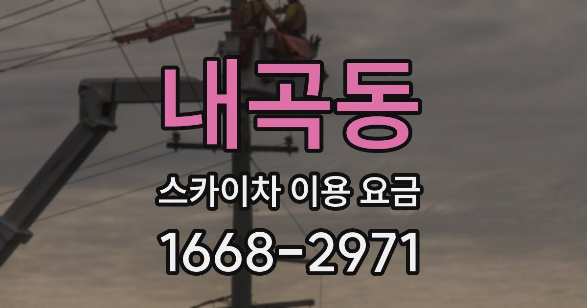 내곡동 스카이차 이용 요금