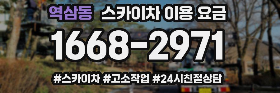 역삼동 스카이차 이용 요금