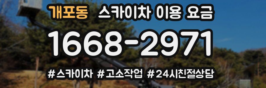 개포동 스카이차 이용 요금