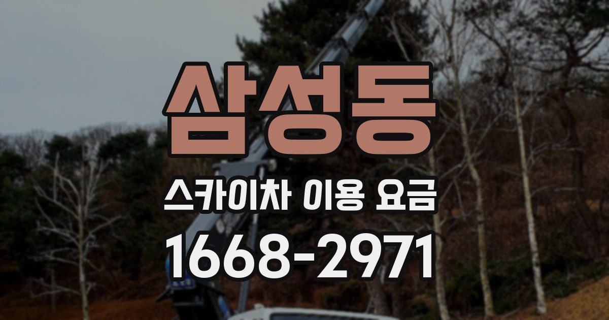 삼성동 스카이차 이용 요금