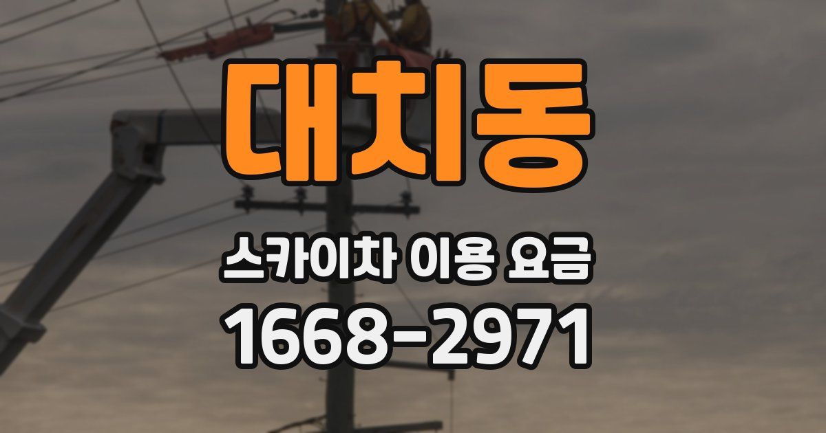 대치동 스카이차 이용 요금
