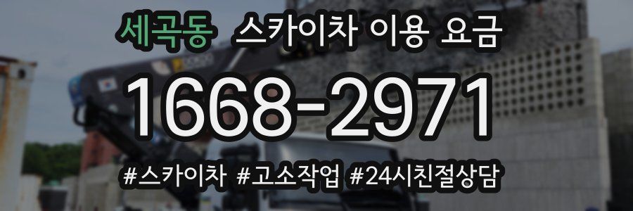 세곡동 스카이차 이용 요금