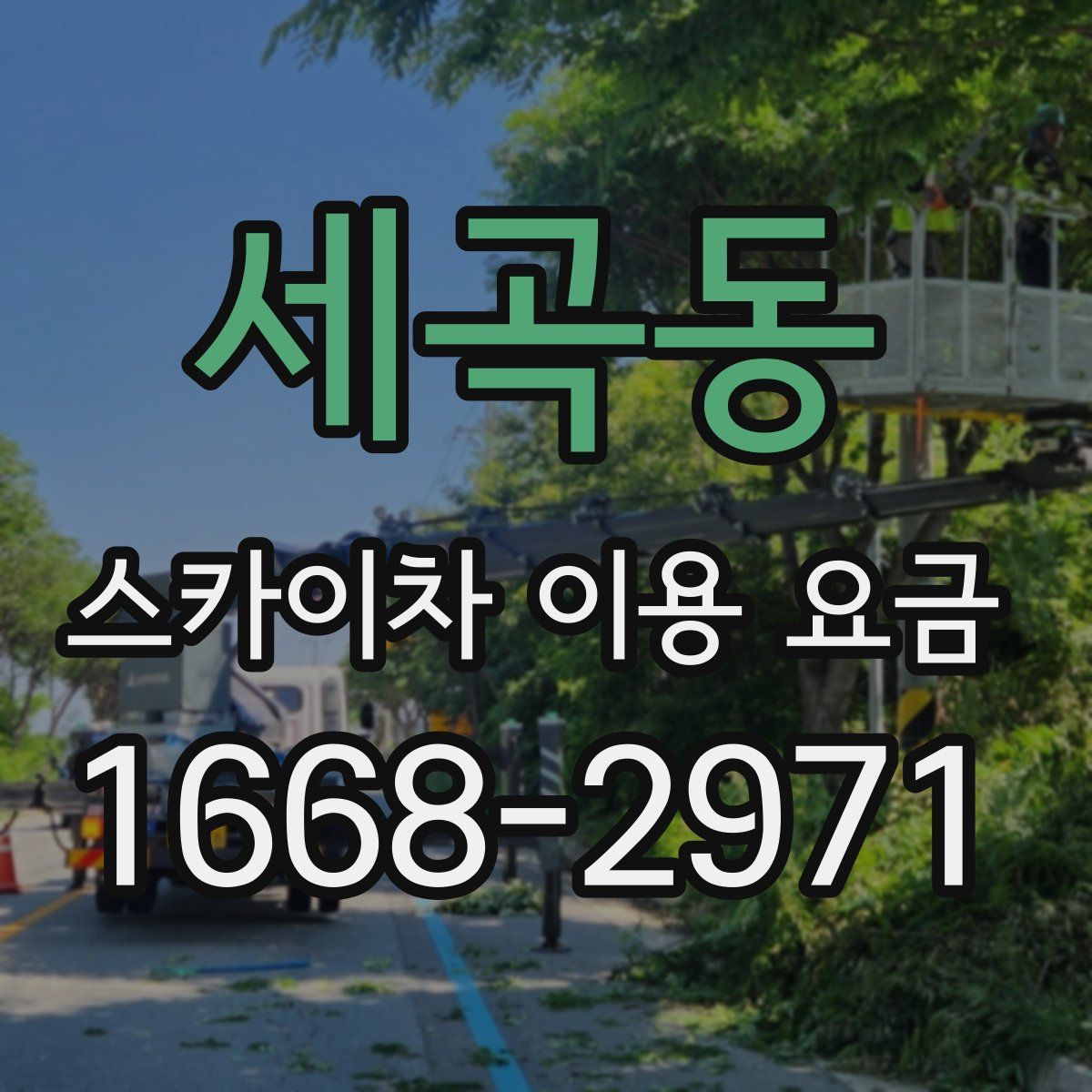 세곡동 스카이차 이용 요금