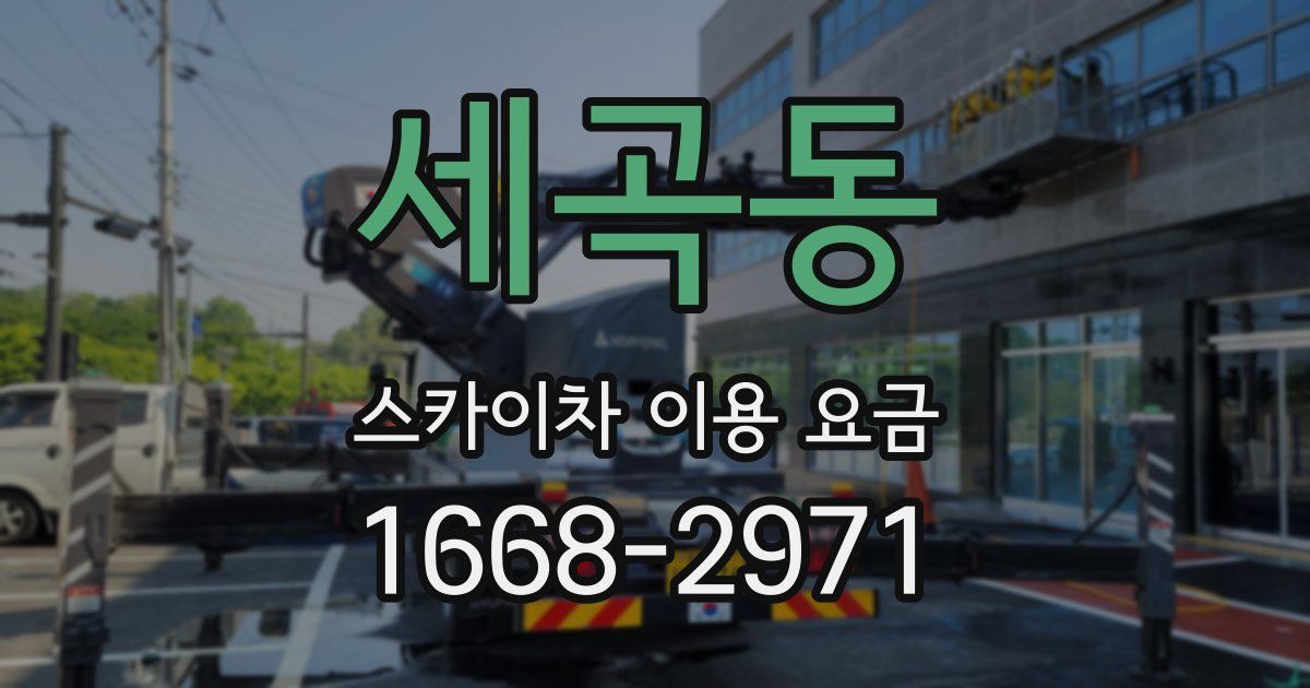 세곡동 스카이차 이용 요금