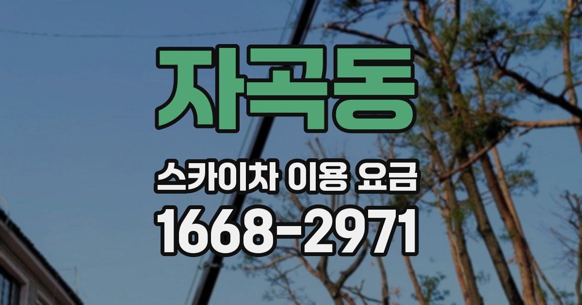자곡동 스카이차 이용 요금