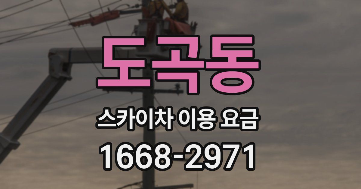 도곡동 스카이차 이용 요금
