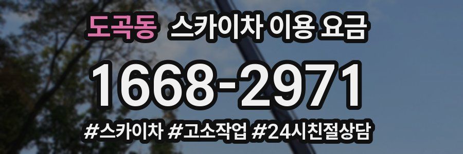 도곡동 스카이차 이용 요금