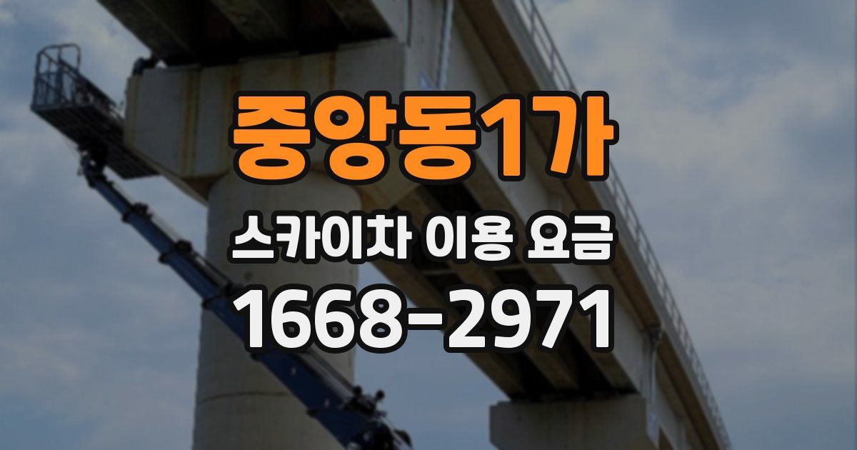 중앙동1가 스카이차 이용 요금