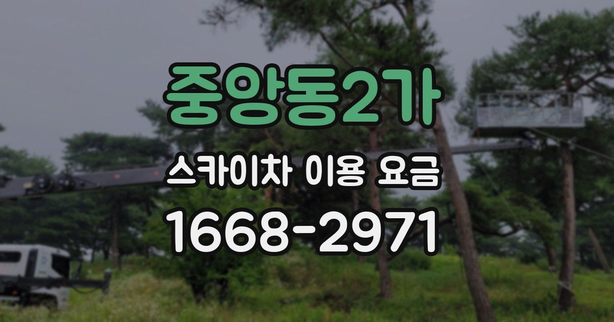 중앙동2가 스카이차 이용 요금