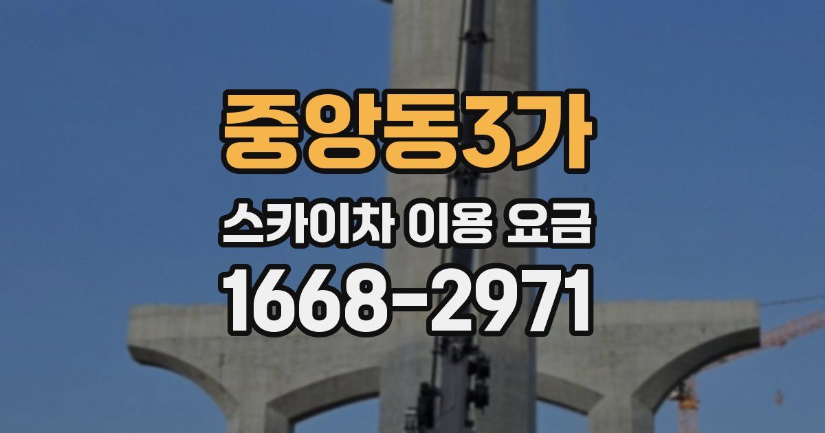 중앙동3가 스카이차 이용 요금