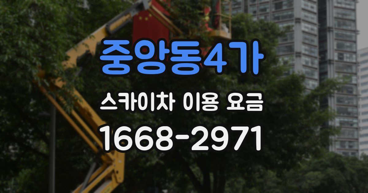 중앙동4가 스카이차 이용 요금
