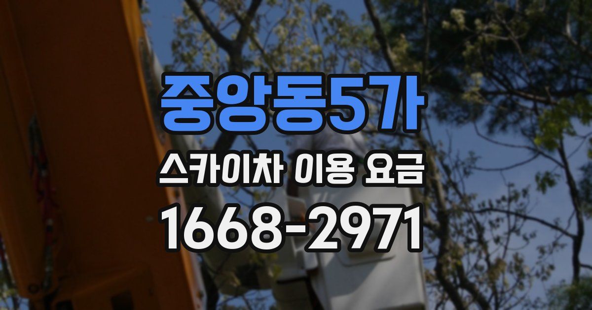 중앙동5가 스카이차 이용 요금