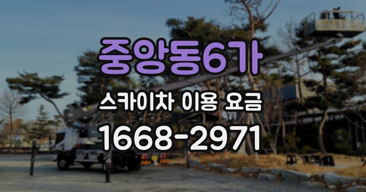중앙동6가 스카이차 이용 요금