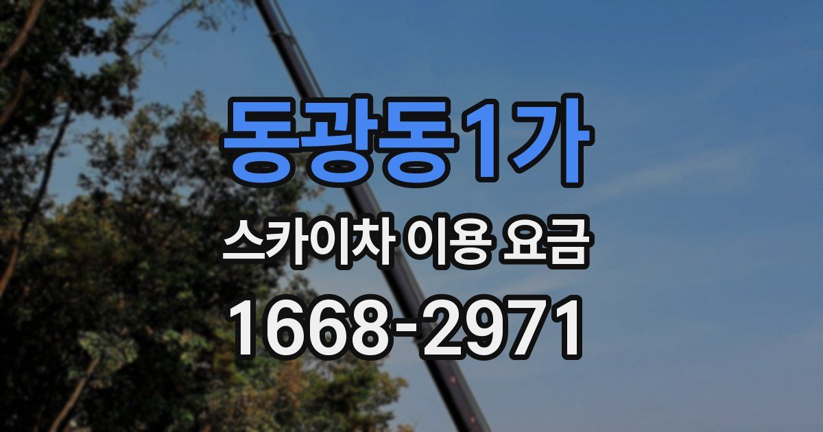 동광동1가 스카이차 이용 요금