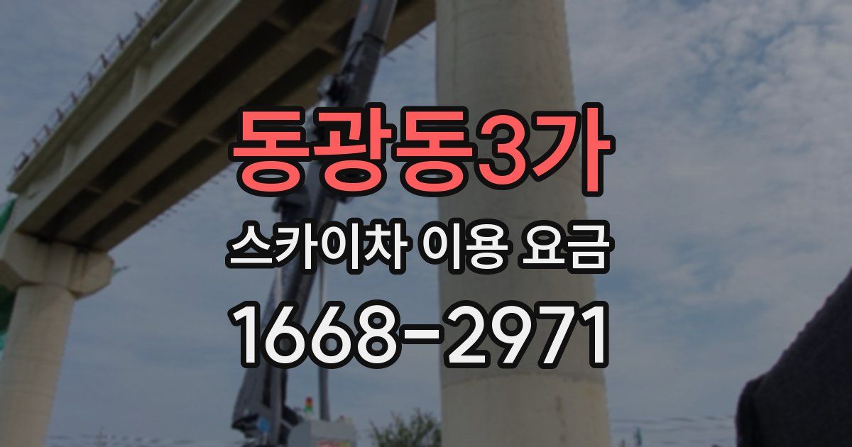 동광동3가 스카이차 이용 요금