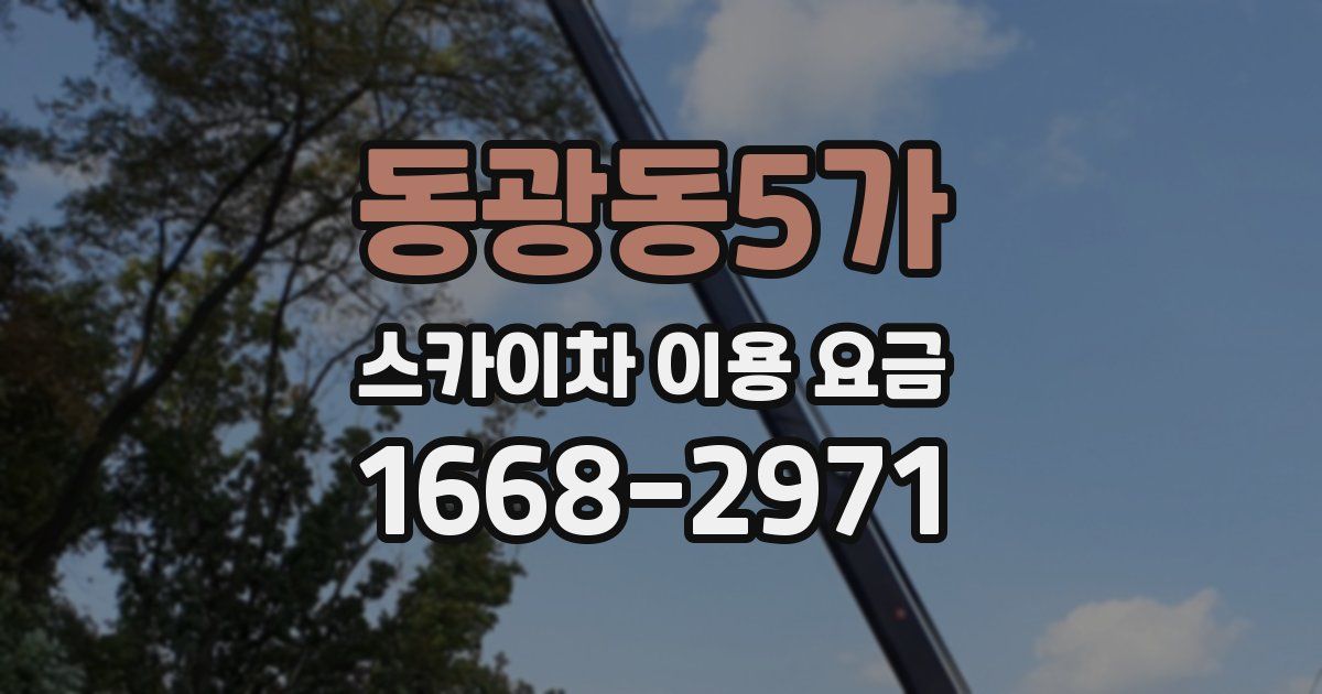 동광동5가 스카이차 이용 요금