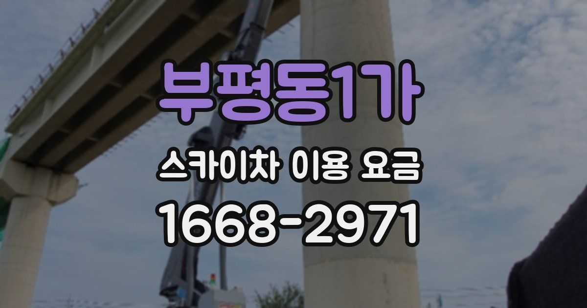 부평동1가 스카이차 이용 요금