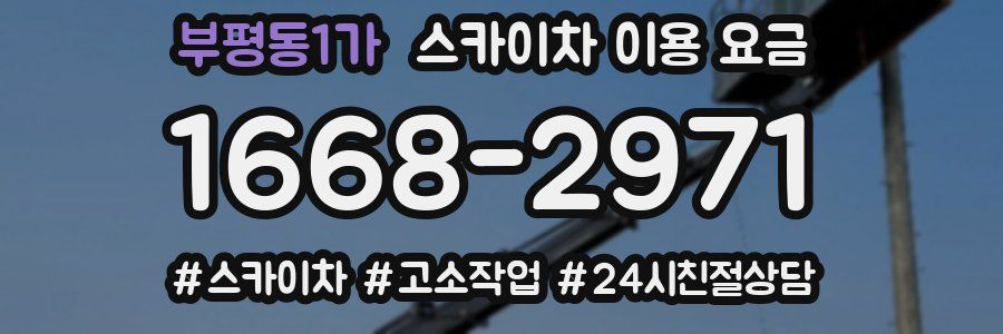 부평동1가 스카이차 이용 요금