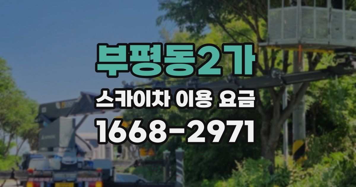 부평동2가 스카이차 이용 요금
