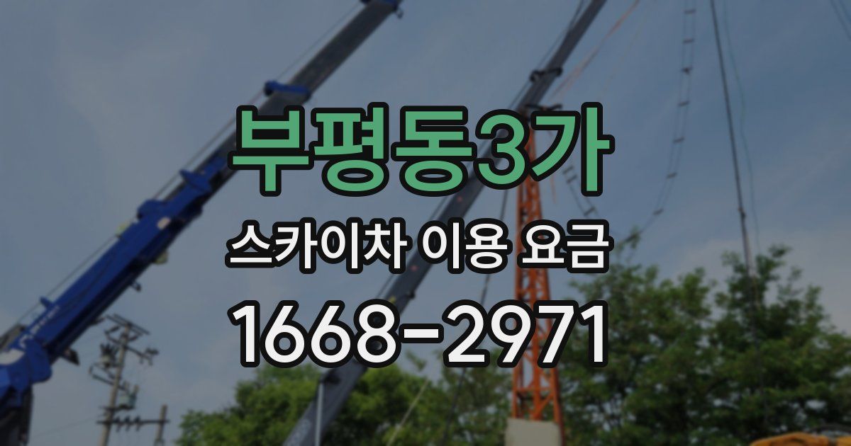 부평동3가 스카이차 이용 요금