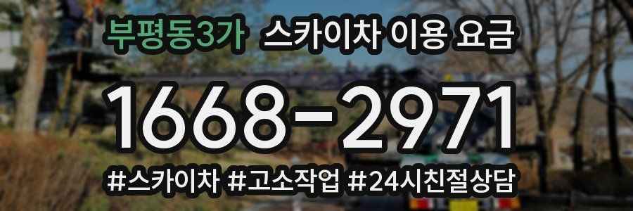 부평동3가 스카이차 이용 요금