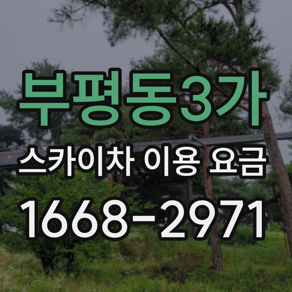 부평동3가 스카이차 이용 요금
