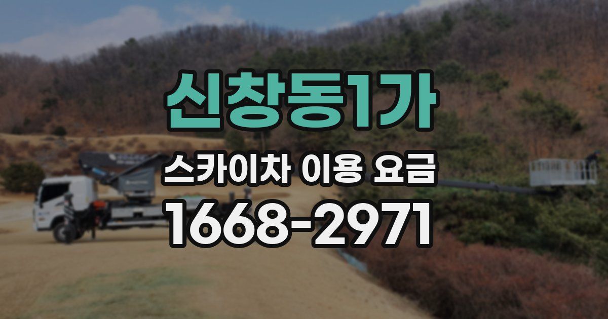 신창동1가 스카이차 이용 요금