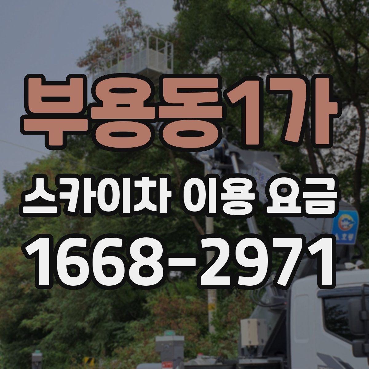 부용동1가 스카이차 이용 요금