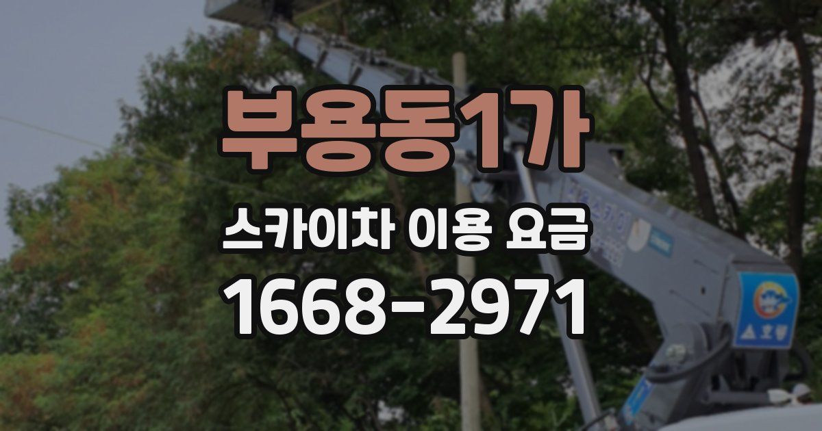 부용동1가 스카이차 이용 요금