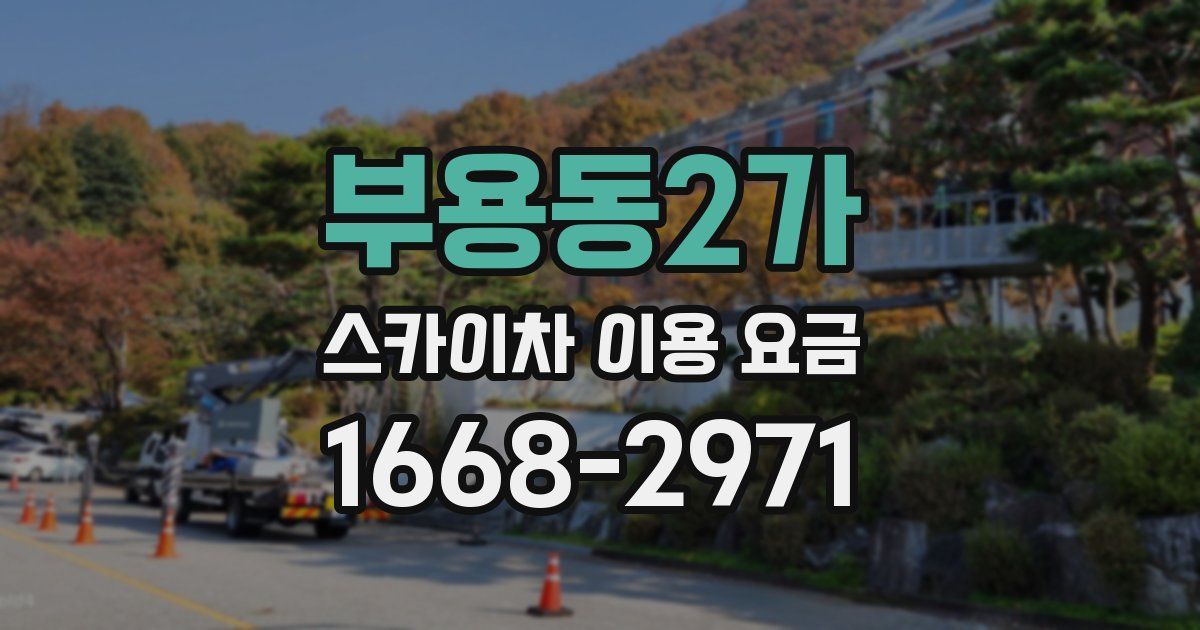 부용동2가 스카이차 이용 요금