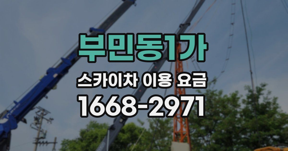 부민동1가 스카이차 이용 요금