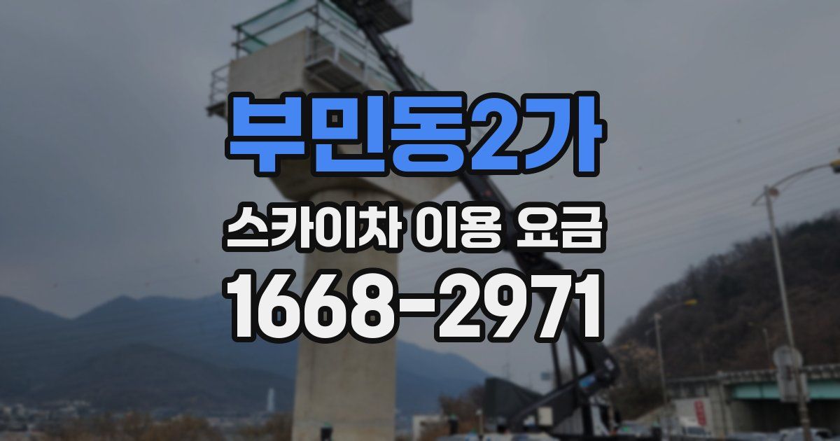 부민동2가 스카이차 이용 요금